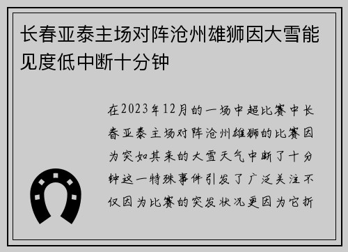 长春亚泰主场对阵沧州雄狮因大雪能见度低中断十分钟 长春亚泰主场对阵沧州雄狮因大雪能见度低中断十分钟